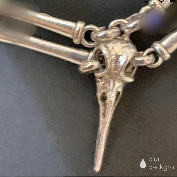 Hand made (by me) RAVEN SKULL NECKLACE (unisex) - Picture 5 of 10